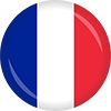 Language Flag